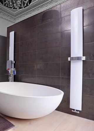 Zehnder Svelte - Image shown in White RAL9016 Zehnder Svelte - Image shown in White RAL9016