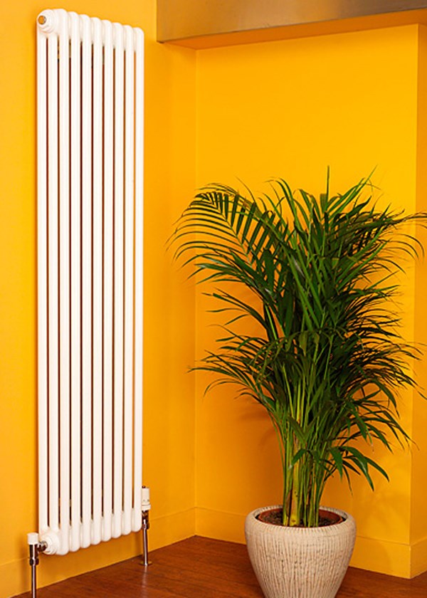 Apollo Roma 4 Column Vertical Radiator - White (RAL9016)