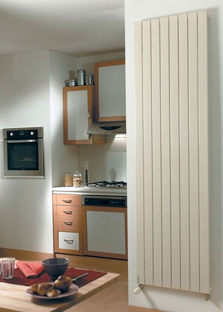 Zehnder Roda Vertical Single 