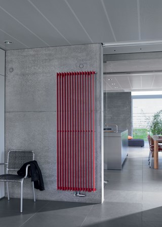 Zehnder Excelsior Vertical - Image shown in Red